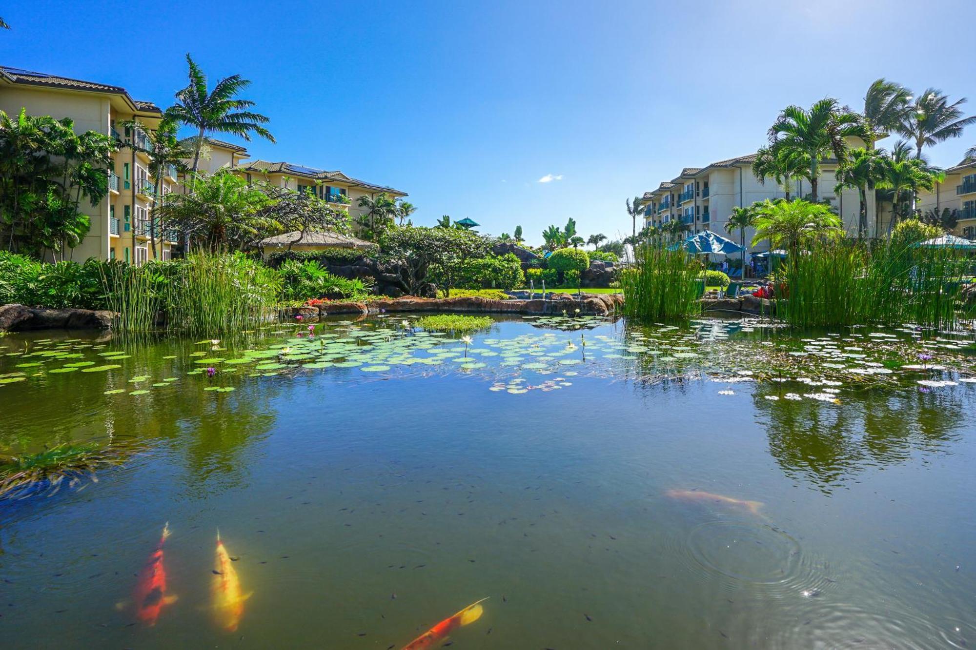 Waipouli Beach Resort Kapa'a Pokój zdjęcie